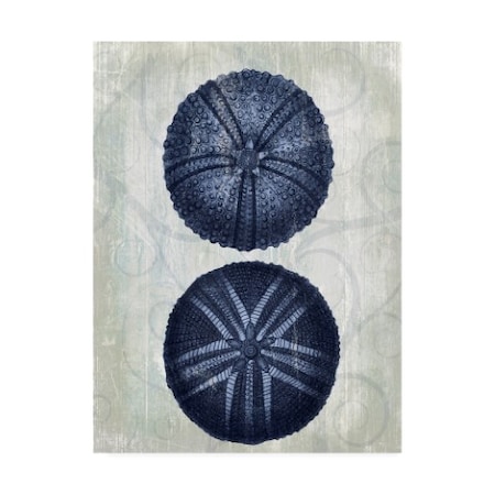 Fab Funky 'Indigo Blue Sea Urchins A' Canvas Art,18x24